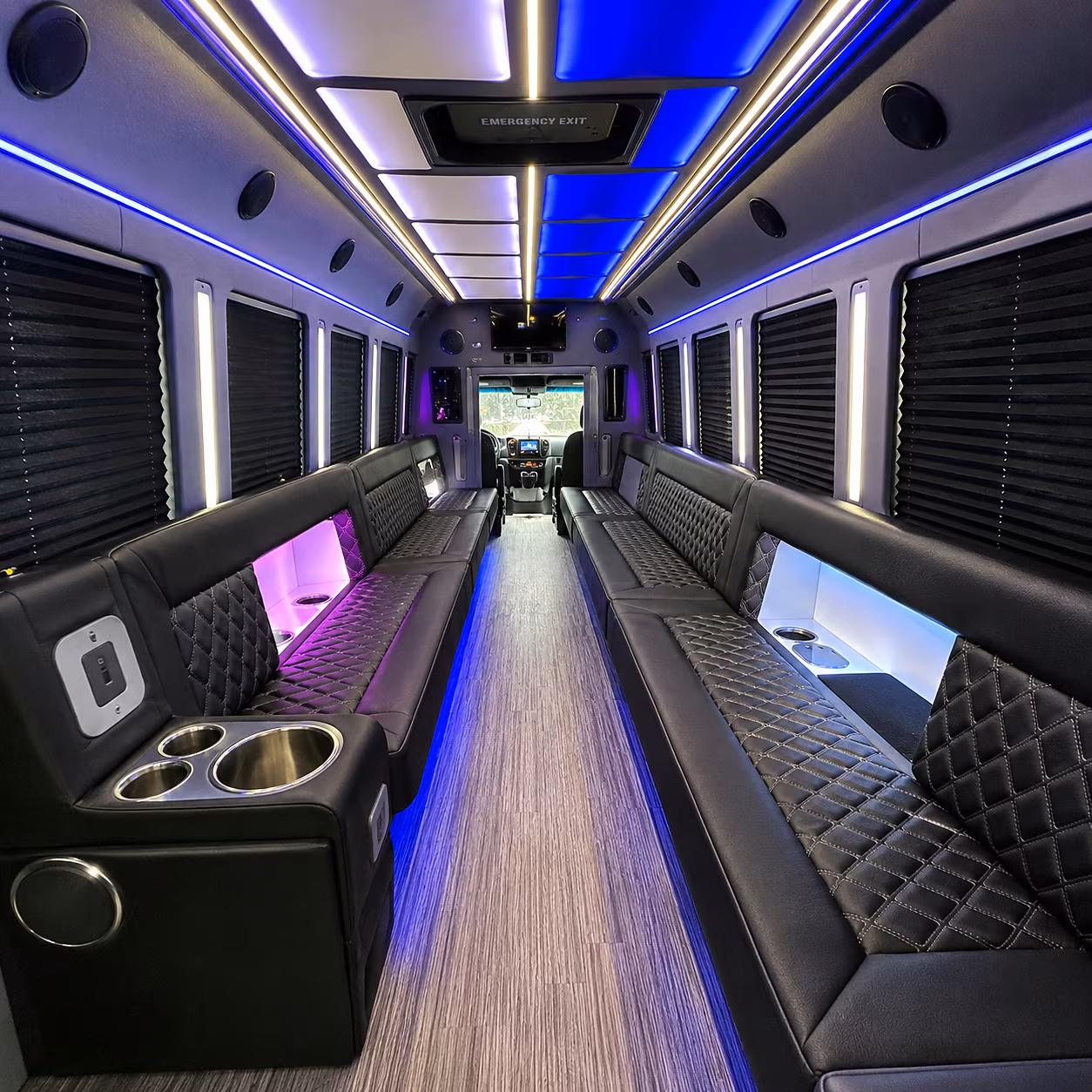 elk grove birthday party bus rental
