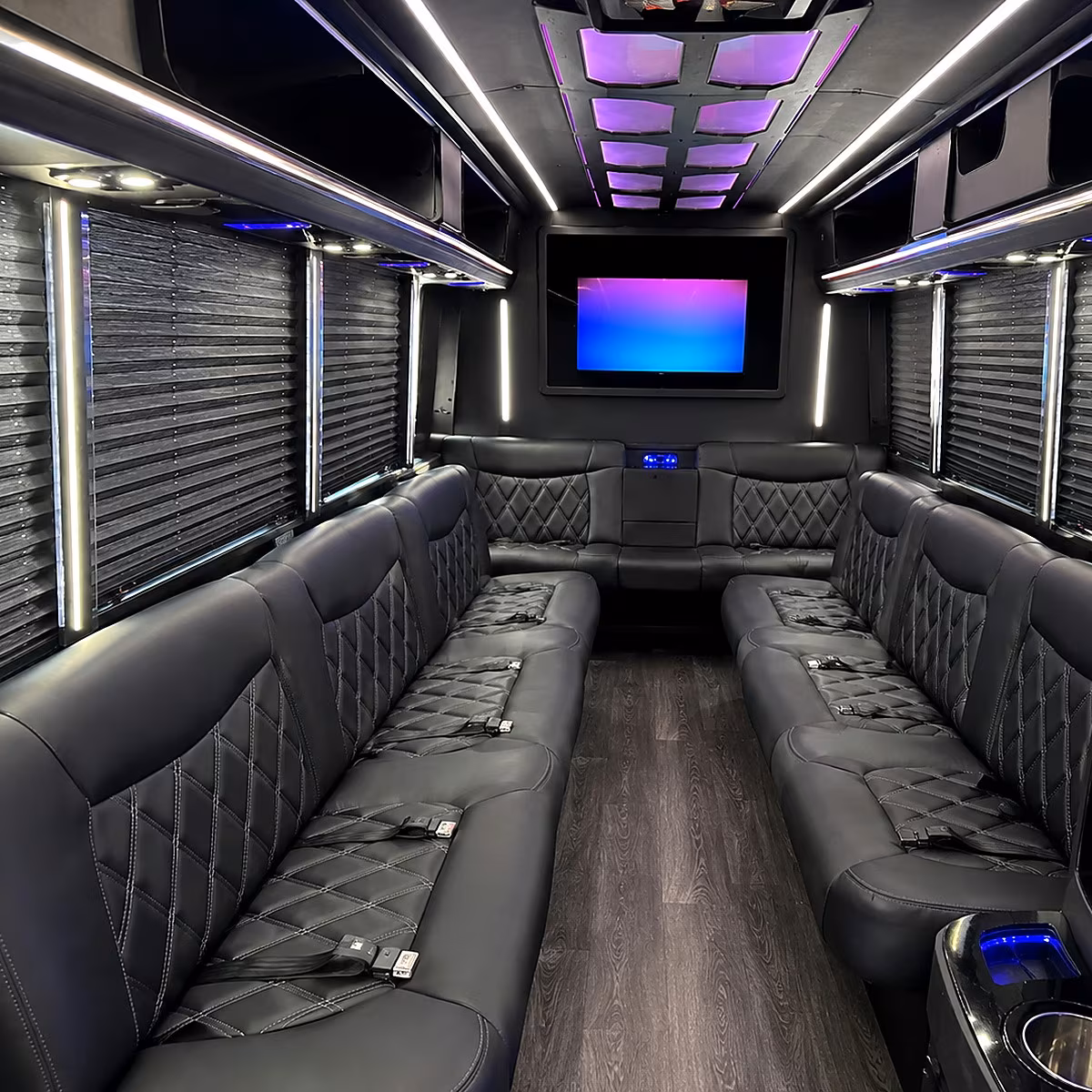 elk grove party bus inside